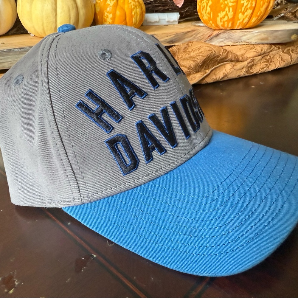 Harley-Davidson Gray and Blue Cap